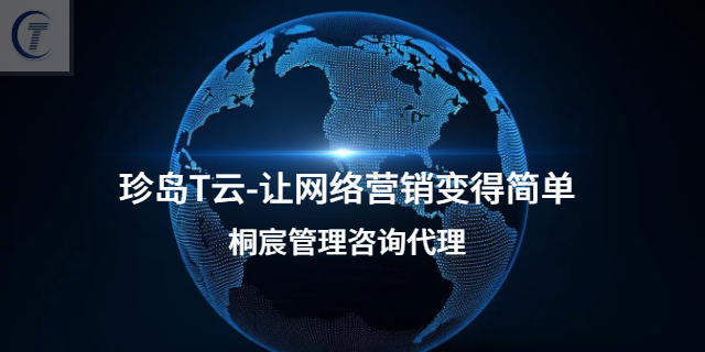 濰坊全域營銷推廣軟件培訓計劃 服務為先 桐宸管理山東供應;