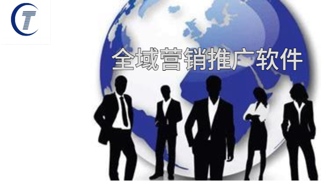 高密山東全域營銷推廣軟件價位 推薦咨詢 桐宸管理山東供應