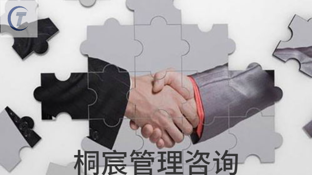 昌樂(lè)山東濰坊人力資源培訓(xùn)與咨詢服務(wù)性價(jià)比 推薦咨詢 桐宸管理山東供應(yīng)