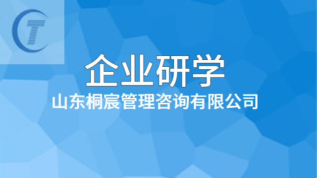 哪里有企業研學內容 客戶至上 桐宸管理山東供應