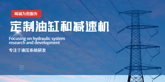 山东数字油缸密封件 安徽意力亚液压传动设备供应;