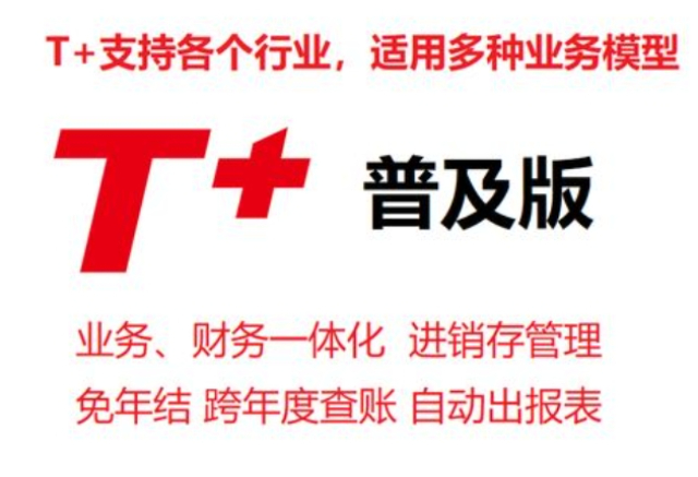 鶴崗總賬管理系統(tǒng)T 軟件服務企業(yè)資金帳戶 黑龍江元格供應