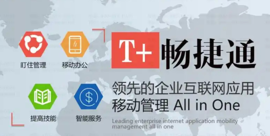 佳木斯核算系統T 軟件服務(wù)財務(wù)業(yè)務(wù)一體化 黑龍江元格供應