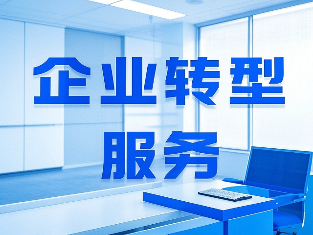 岱岳区推广数字化企业转型包括什么
