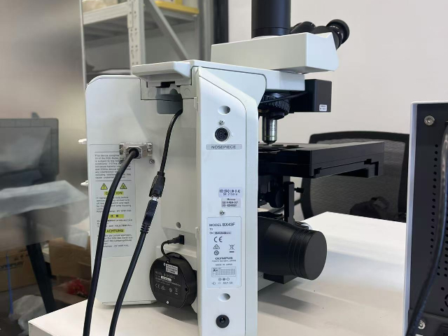 杭州人工藻類人工智能分析儀 歡迎咨詢  瑾誠生物供應(yīng)