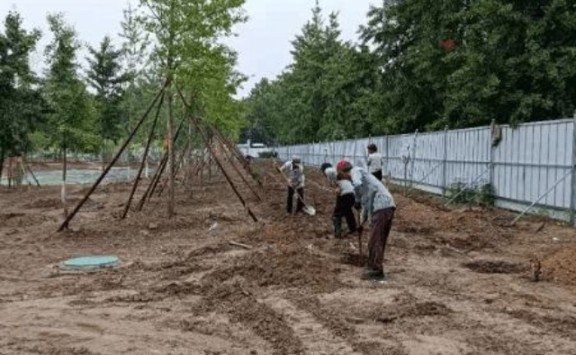 南京選擇城市公園施工現價,城市公園施工