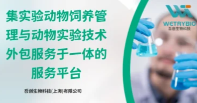 福建葡萄糖鉗夾超聲影像 吾創(chuàng)生物科技供應(yīng)