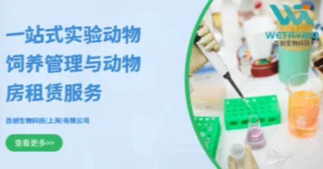 新疆小鼠超聲影像上門服務(wù) 吾創(chuàng)生物科技供應(yīng);