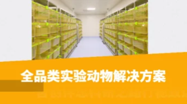 廣西大小鼠超聲影像檢測(cè)儀 吾創(chuàng)生物科技供應(yīng);