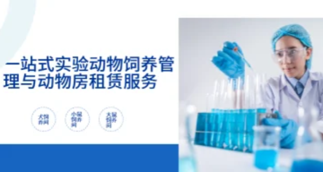 廣西實(shí)驗(yàn)動物代謝籠價(jià)錢 吾創(chuàng)生物科技供應(yīng)