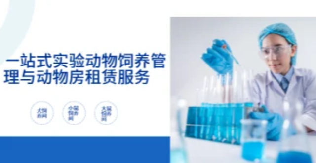 河南大鼠飼養(yǎng)管理費(fèi)用標(biāo)準(zhǔn) 吾創(chuàng)生物科技供應(yīng)