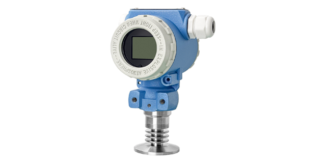 高溫型壓力儀表哪家好 武漢天禹智控科技供應(yīng);