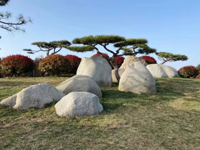商洛如何白麻石购买建议,白麻石