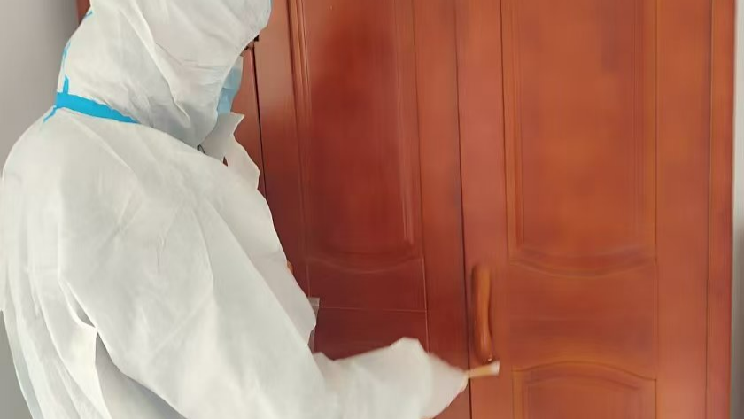 问题母猪生物安全无害化处理方法