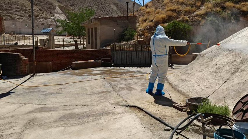 流浪狗生物安全诊断试剂