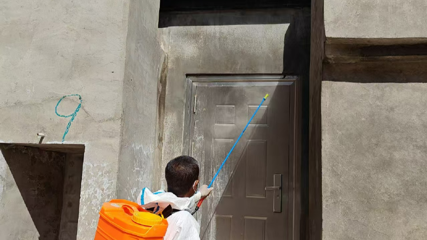 緬甸樓房養(yǎng)豬非洲豬瘟飼料安全標(biāo)準(zhǔn) 歡迎咨詢 創(chuàng)宏生物供應(yīng);