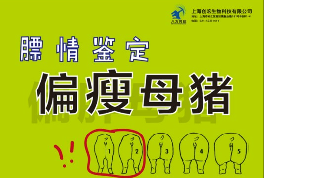 育肥舍生产技术培训