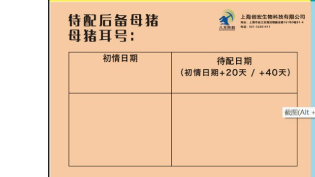 妊娠母猪生产技术人才,生产技术
