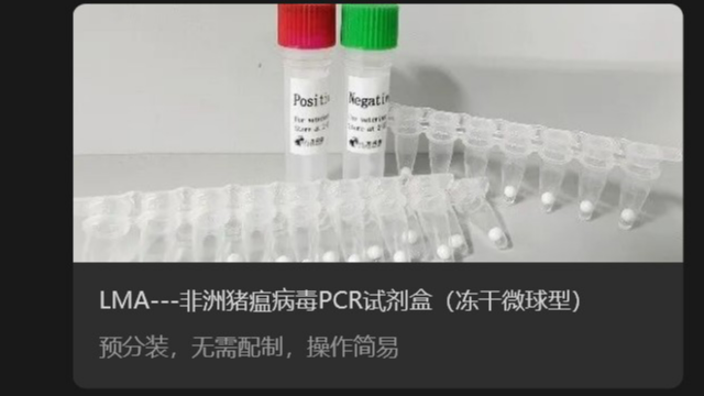 中國香港初冬季節(jié)非洲豬瘟診斷方法介紹 來電咨詢 創(chuàng)宏生物供應(yīng)