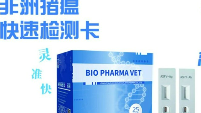 中國香港母育豬非洲豬瘟生物安全要點 服務至上 創宏生物供應