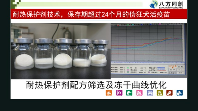 育肥猪场伪狂犬毒力不返强