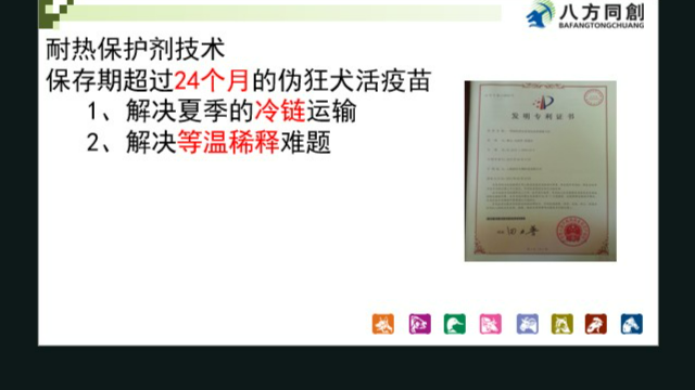 湖北伪狂犬双重保护,伪狂犬