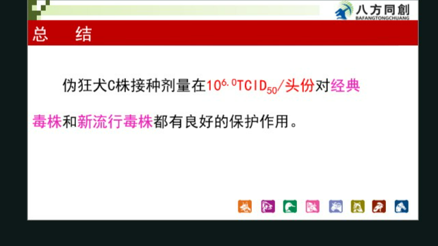 四川配怀舍伪狂犬,伪狂犬