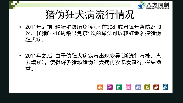 吉林产房伪狂犬,伪狂犬