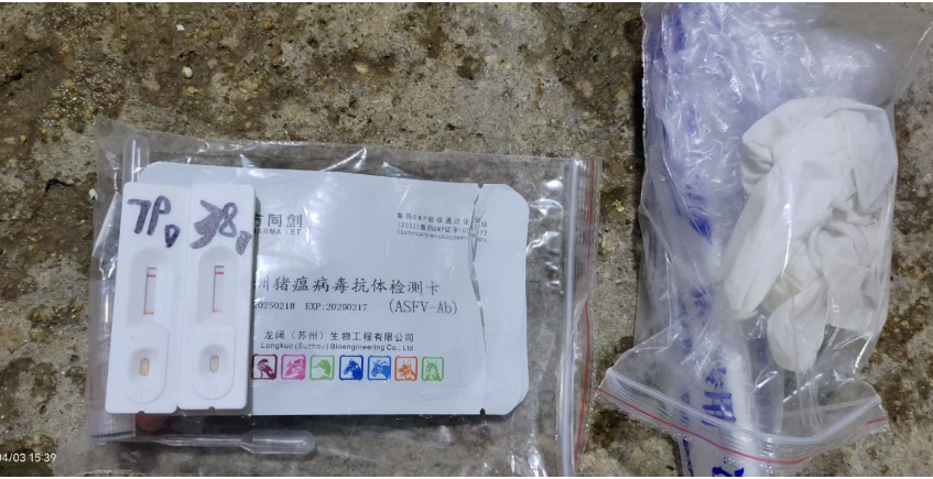 寫(xiě)給同行的真心話：快檢 + 常溫 PCR，才是中小豬場(chǎng)的防控