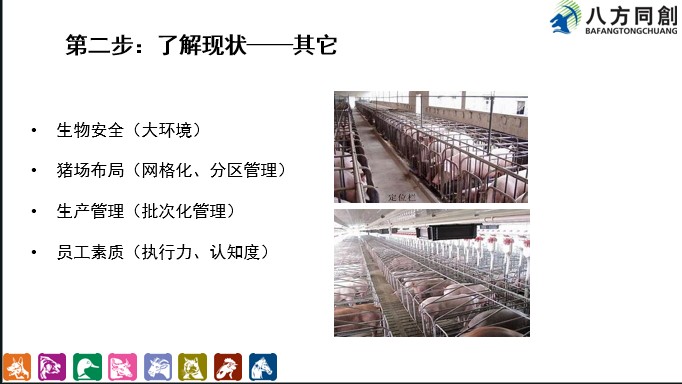 母豬藍(lán)耳病傳染源 值得信賴 創(chuàng)宏生物供應(yīng)