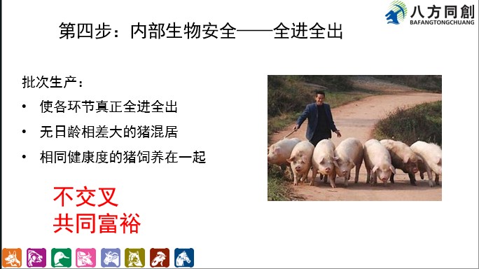 美洲型蓝耳病传染源