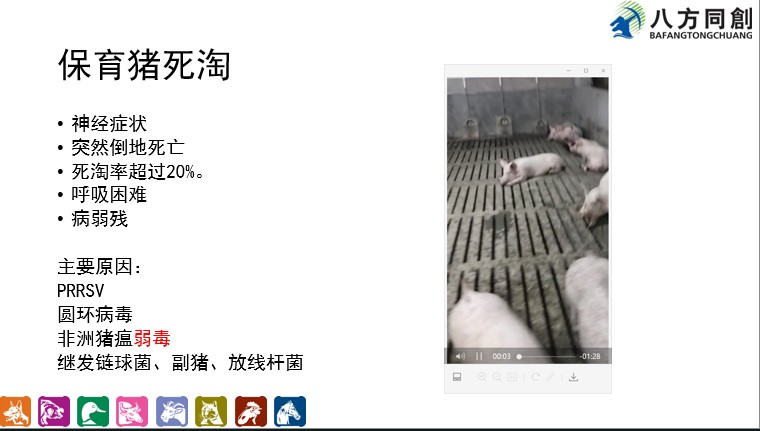 美洲型藍(lán)耳病病毒的結(jié)構(gòu)蛋白 歡迎來電 創(chuàng)宏生物供應(yīng)