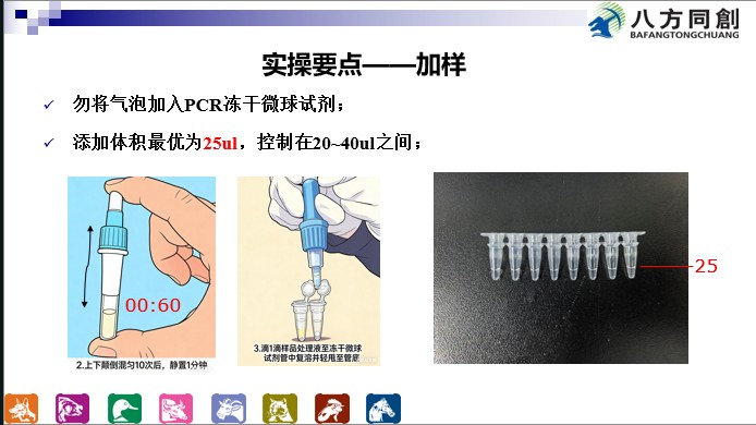 经济型荧光PCR检测试剂（冻干微球型）病原学