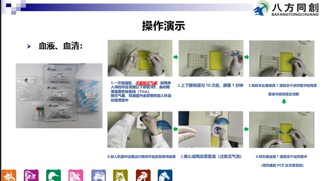 哪些是熒光PCR檢測試劑（凍干微球型）病理變化特點 歡迎來電 創(chuàng)宏生物供應;