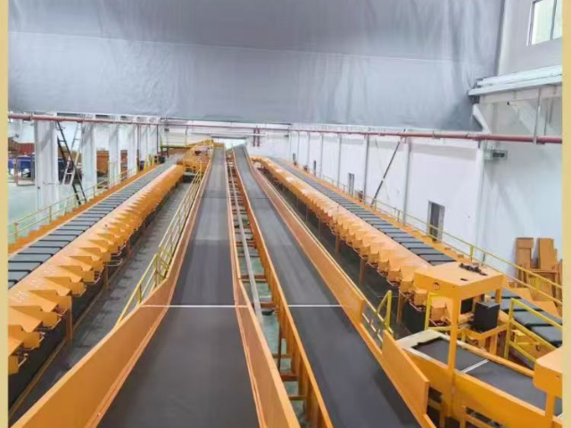 故障自診斷快遞線設(shè)計(jì)方案 江西龍恩智能裝備供應(yīng)