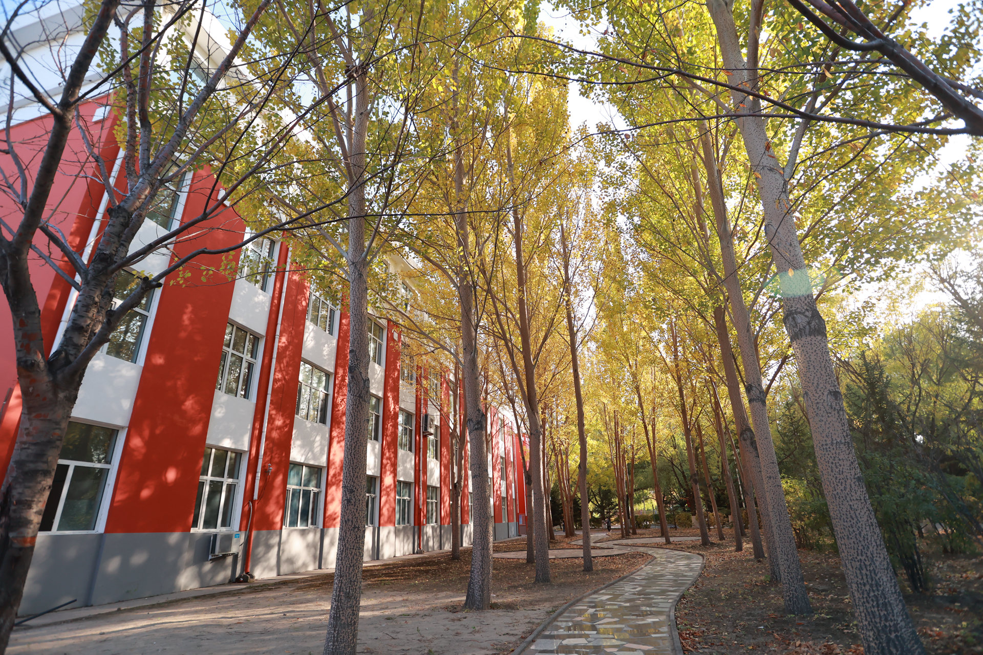 齐工程医学院：东北地区应用型医护本科