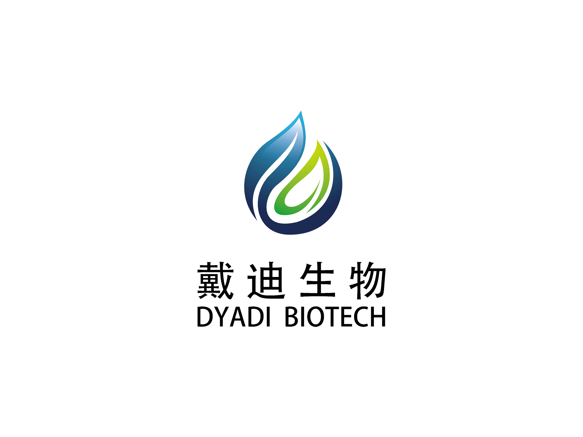 冷漂酶：現代洗滌技術中的創新與應用