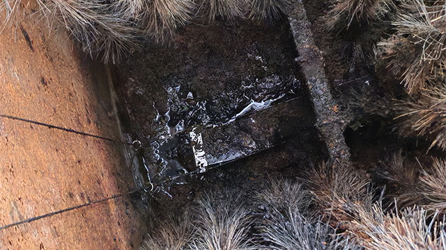 可提升曝气器终身服务,可提升曝气器