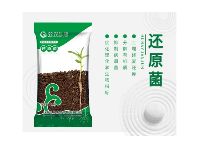浙江湖州番茄病害防控農(nóng)業(yè)微生物菌劑設(shè)施作物 服務(wù)至上 上海乾界生物科技供應(yīng);