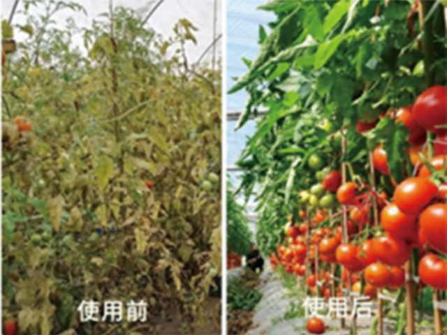 上海壤團粒結構改善農業微生物菌劑報價 歡迎來電 上海乾界生物科技供應