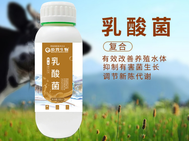 湖南蛙塘凈水產(chǎn)飼料添加劑源頭廠家 歡迎來電 上海乾界生物科技供應(yīng)