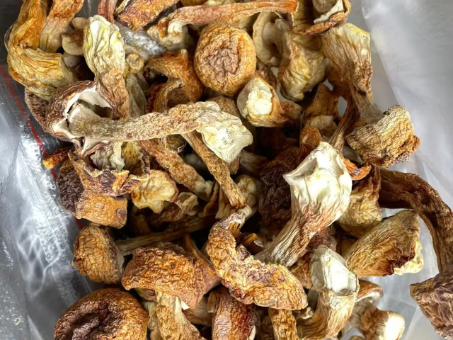 寧夏多品種菌菇干貨禮盒大概多少錢