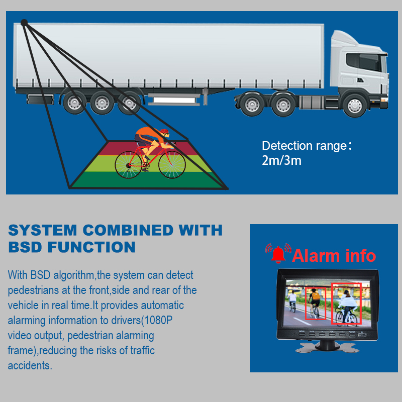 Backup Camera System with BSD