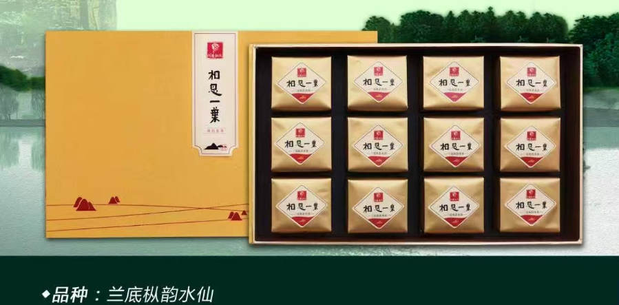 廈門好的水仙功效,水仙