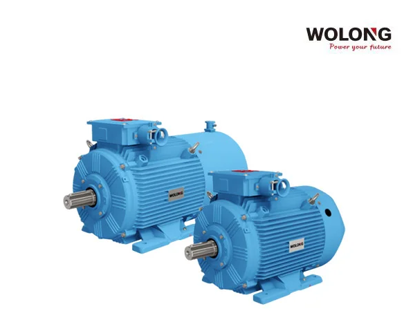 permanent magnet synchronous motor