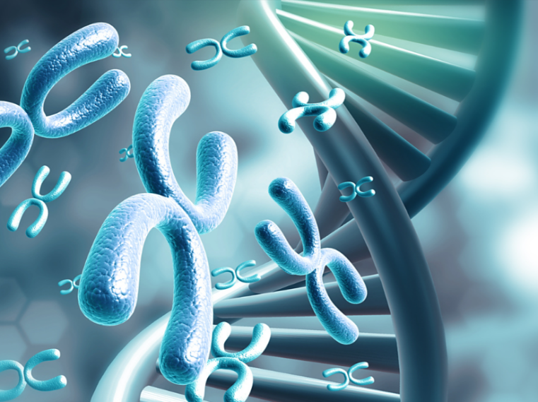 孩子語(yǔ)言發(fā)育慢？華壹健康基因找原因