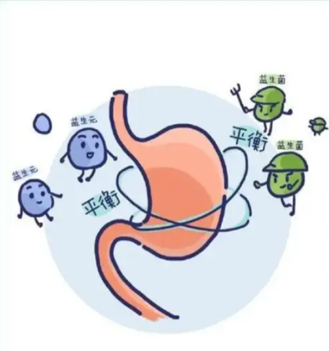 1 對(duì) 1 定制！華壹唯維佳益生菌適配個(gè)人體質(zhì)