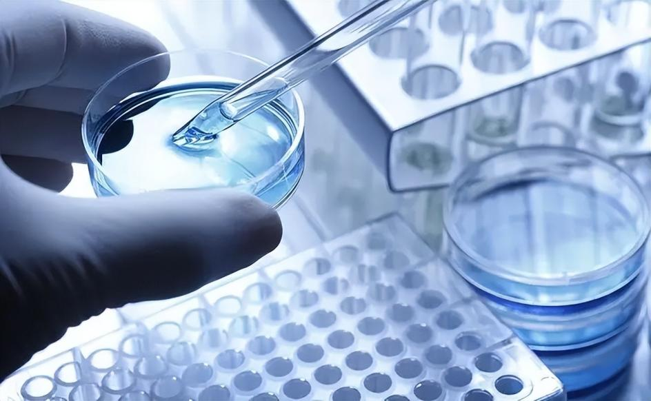 早識優勢！華壹健康讓孩子少走彎路