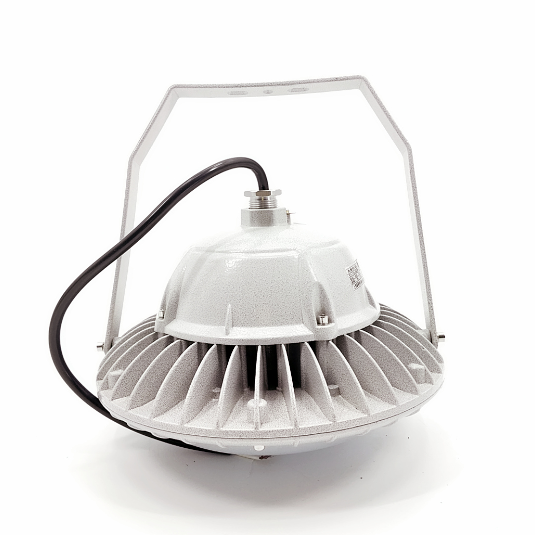 Explosion-proof LED Light