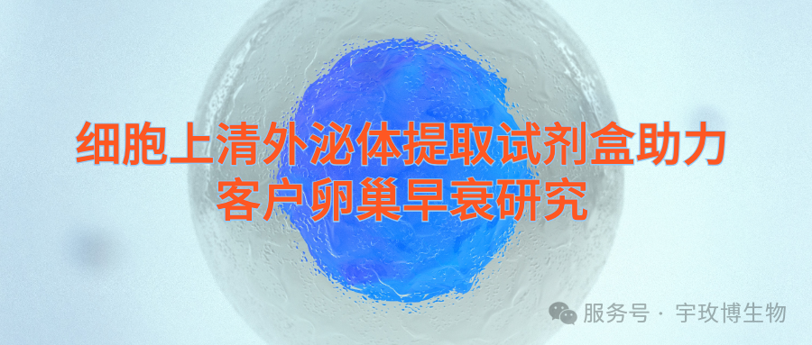 IF=7.1宇玫博細(xì)胞上清外泌體提取試劑盒助力卵巢早衰研究